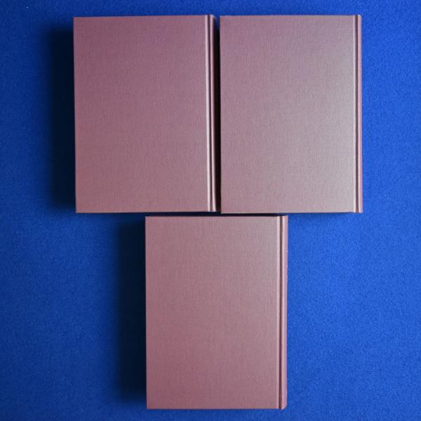 希望の原理 全三巻 /エルンスト・ブロッホ/白水社 希望の原理 第三巻 (白水iクラシックス) | エルンスト ブロッホ, 山下