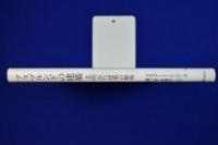 アスプルンドの建築 : 北欧近代建築の黎明