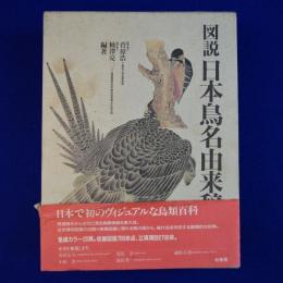 図説 日本鳥名由来辞典