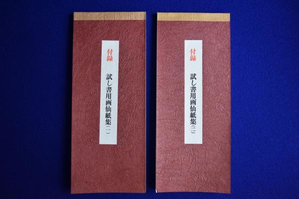 書の紙 : 手漉画仙紙と料紙 日本・中国・韓国 全1巻2冊揃(荒川浩義 編 