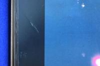 THE BOOK ON VEGAS