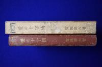 愛の十字街 : 長篇小説