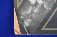 Whole Earth Catalog : access to tools : Fall 1970