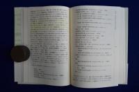 近現代中国における言語政策 : 文字改革を中心に