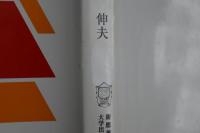 中国革命と国際環境 : 中国共産党の国際情勢認識とソ連 1937年～1960年