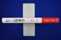 祭りの現象学