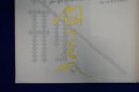 薔薇刑 : 冩眞集 二十一世紀版