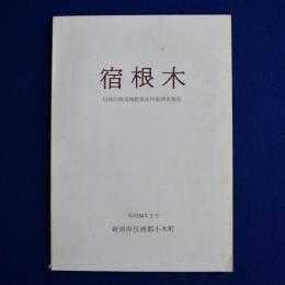 宿根木 : 伝統的建造物群保存対策調査報告