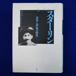 スターリン : 青春と革命の時代