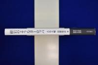 礫岩のようなヨーロッパ