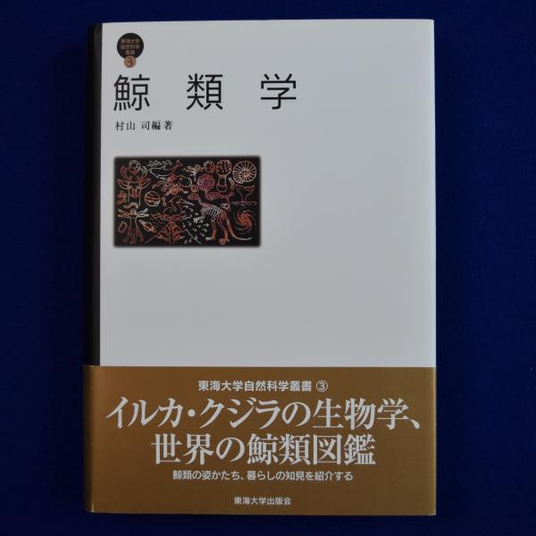 カルカソンヌの一夜: ヴェイユとブスケ | 大木 健 |本 | 通販