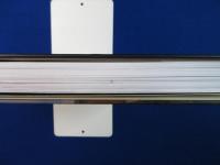 UNIVERSITY of TOKYO Fresh Book 2010 東京大学入学記念アルバム
