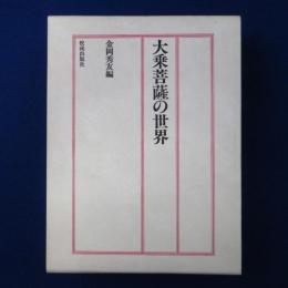 大乗菩薩の世界
