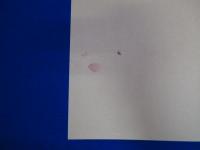 細江光洋写真全集　全3巻揃