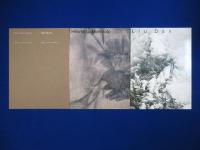 Alternative Visions 透明な黒の詩 : Hiromitsu Morimoto / Liu Dan 〔展覧会図録〕