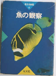 魚の観察　4