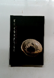 昭和陶藝逸品作品集