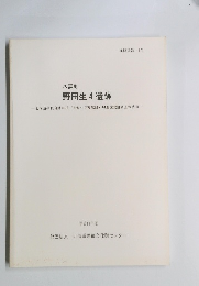 野田生4 遺跡