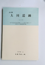 大川遺跡　(2005年度)