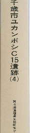 千歳市ユカンボシC15遺跡(4)