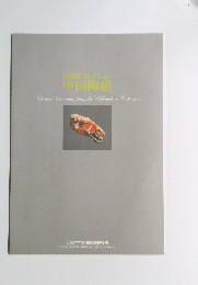 自機コレクション中国陶磁