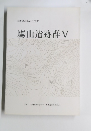 鷹山遺跡群 V 2001年