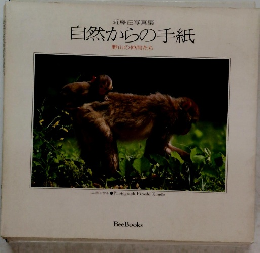 近藤江写真集 自然からの手紙 野山の仲間たち