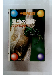 学研の図鑑　昆虫の図解　こんちゅうのずか