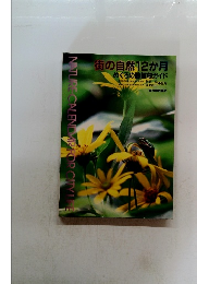 街の自然12か月