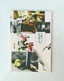 反抗期入門35歳からの