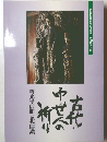 古代・中世人の祈り 善光寺信仰と北信濃