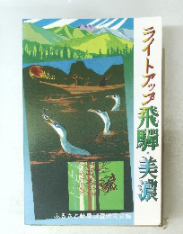 ライトアップ飛騨・美濃