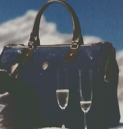 Felisi BAGS & BELTS FELISI AUTUMN & WINTER 2010-11 COLLECTION