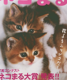 ネコまる　vol.11 2005年春