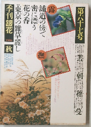 !季刊銀花　1986年秋号　第六十七号