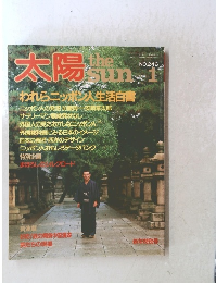 太陽　the sun 1　No.246　