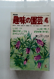 NHK趣味の園芸 4月号