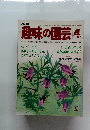 NHK趣味の園芸 4月号