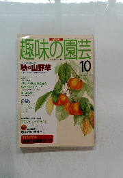 趣味の園芸　1995年10月