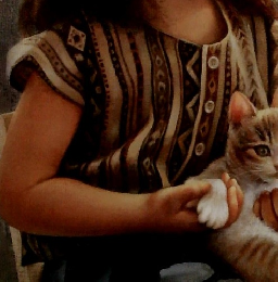 ―枚の繪　1987　1　「絵と随筆と旅の本