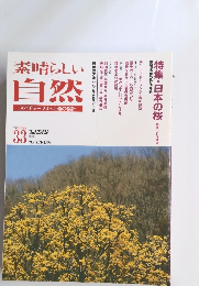 素晴らしい自然　No.３３