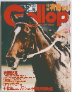 Gallop　1993年12月26日号