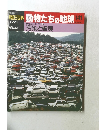 朝日百科動物たちの地球　141