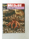 朝日百科　動物たちの地球　68　10/11号