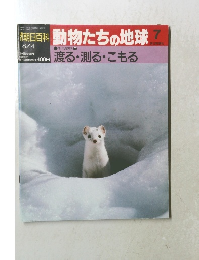 朝日百科動物たちの地球　7