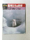 朝日百科動物たちの地球　7