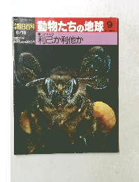 朝日百科　動物たちの地球9　8/18号