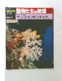 週刊朝日百科　動物たちの地球　62　8月30日号　サンゴイソギンチャクほか