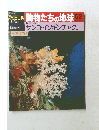 週刊朝日百科　動物たちの地球　62　8月30日号　サンゴイソギンチャクほか
