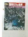 朝日百科動物たちの地球　3